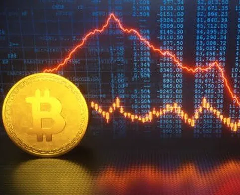 Latorubex App - Become a Trading Expert with Latorubex App